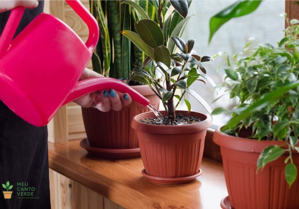 Mulher regando uma planta de interior em um vaso marrom, que está sobre um parapeito de madeira, usando um regador rosa.